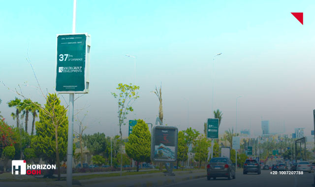 Flag - Sheikh Zayed